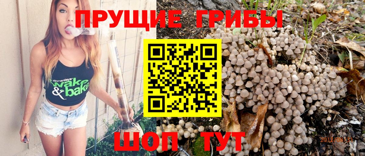 наркошоп  Галлюциногенные грибы Psilocybe  Вход с VPN  Псилоцибиновые грибы Psilocybine cubensis  Комсомольск-на-Амуре 